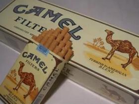 camel欧盟有嘴骆驼外烟